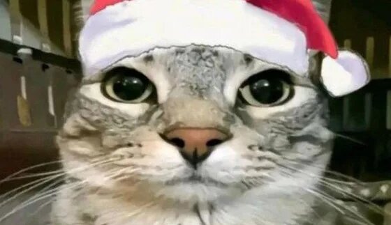 Мем с котом уииа