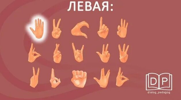 Развитие внимания. Игра "Повтори жесты". Средний уровень сложности ...