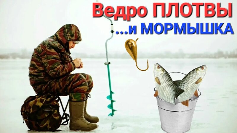 23 ноября 2023 - В России выпустили карты глубин водоемов для рыбаков - Общество