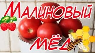 Томат Малиновый мед F1. Если мёд ещё и малиновый, это что-то необычайно ...