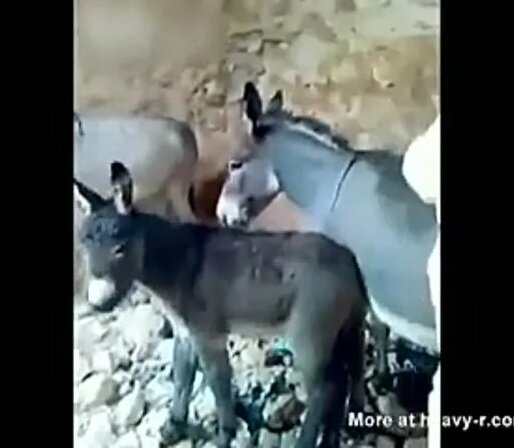 Тұмандағы секс