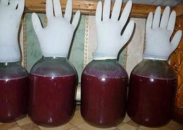 Самый Простой Способ приготовления вина из Винограда своими руками ...
