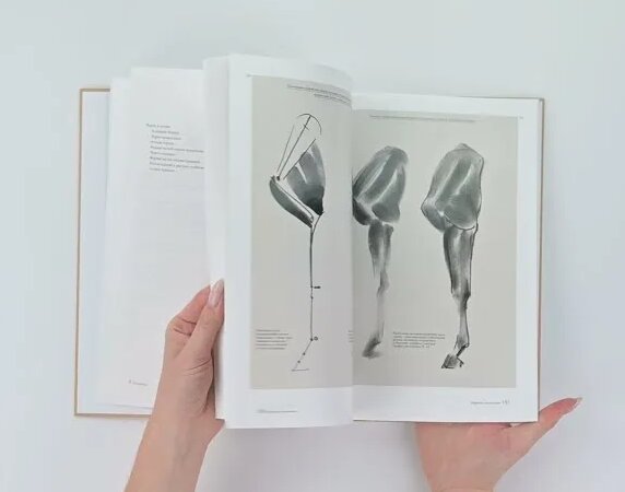 Готтфрид Баммес. Изображение животных - Смотреть онлайн в поиске ...