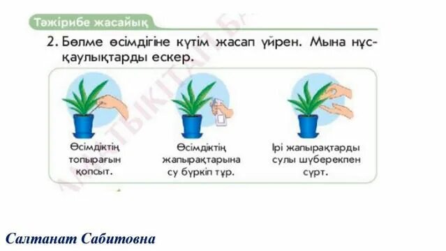 Жыртылған шұлық киген азиялықтар