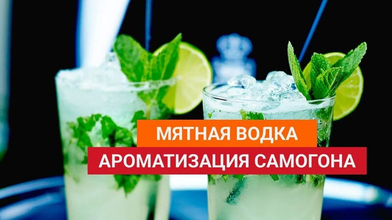 Мятная водка или ароматизация самогона и сырца настаиванием на мяте и ...