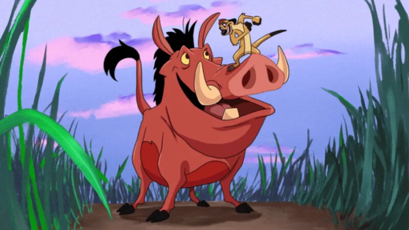 Әйелдердің үйдегі фотосы