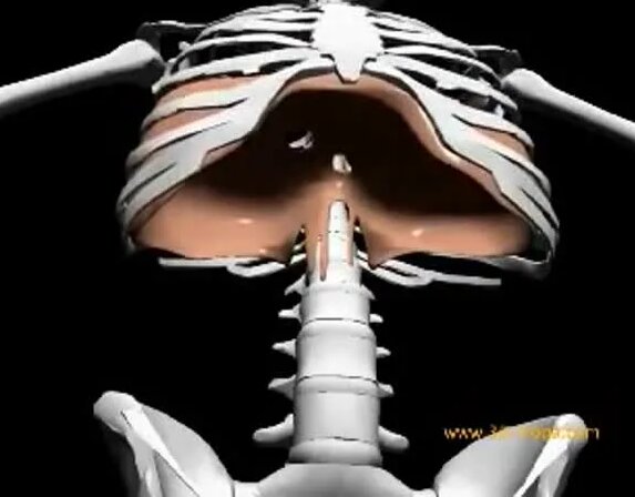 как работает диафрагма видео