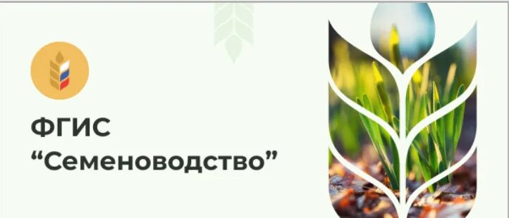 Создание документа Ввод объемов семян в ФГИС "Семеноводство ...