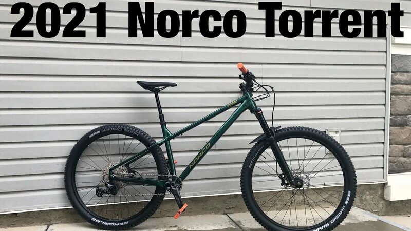 Norco torrent 2021 deals