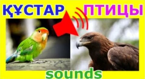 Топтық секс порно