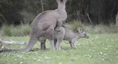 Xotin oyoqlarini omma oldida chiroyli tarzda yoyadi