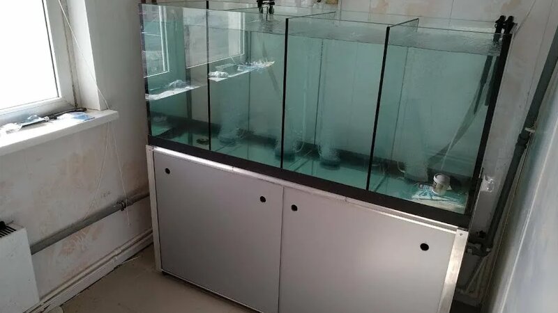 500л аквариум для продажи раков. С тумбой (металлокаркас) и ...
