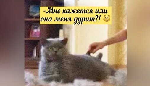 Кішкентай бойлық секс