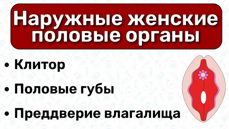 ЩАВЕЛЬ, РАКУШКА, ПЕРСИК - НОВЫЙ ТРЕНД ТИКТОК - YouTube