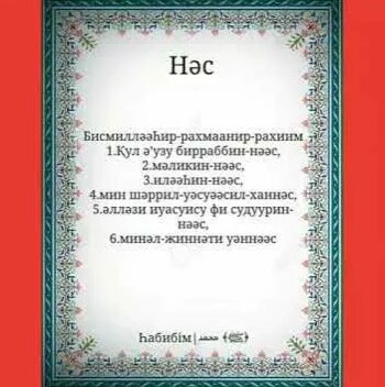 Қынаптың кең роликтері