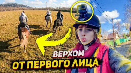VLOG с полей ОТ Первого ЛИЦА верхом | Дневник Коноблогера | Дзен ...