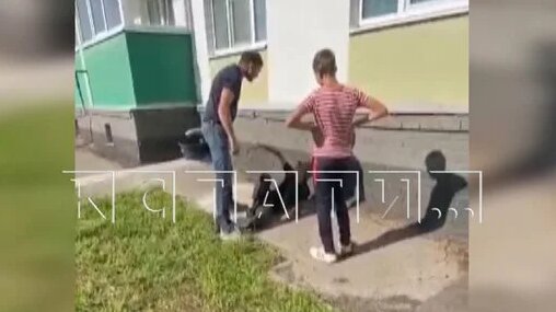 Взрослый мужчина вмешался в детский конфликт и едва не задушил ребенка ...