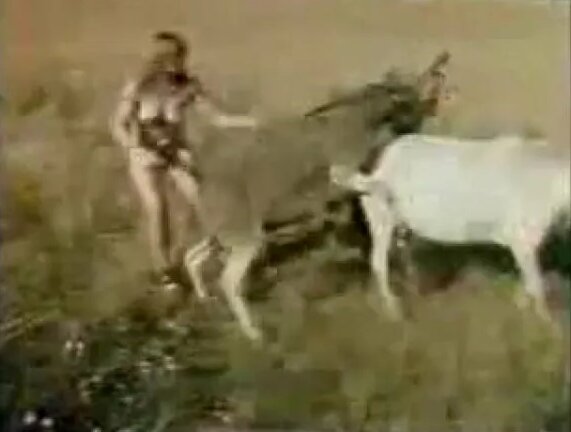 Eng dahshatli mushuklar