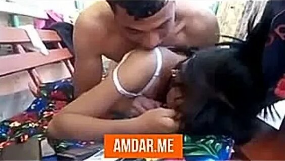 Yandex video arama