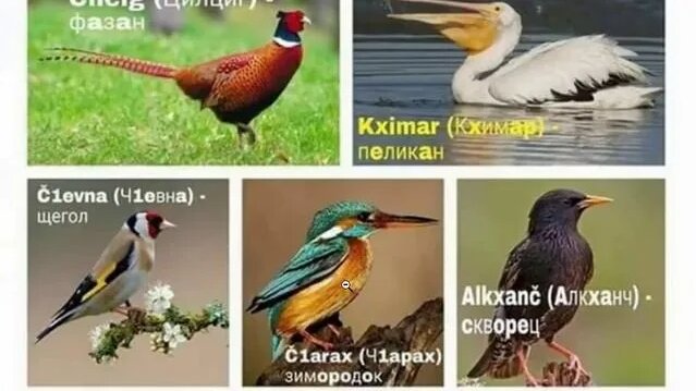 название детали автомобиля в картинках