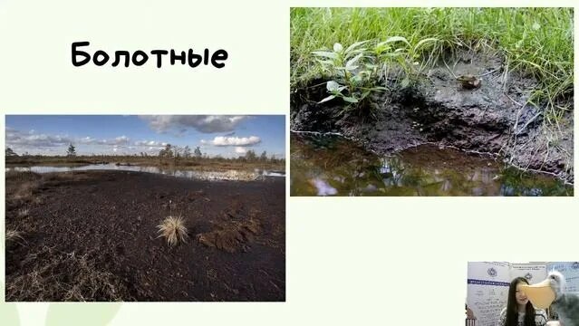 4К Окружающий мир: «Земля - кормилица» - Смотреть онлайн в поиске ...