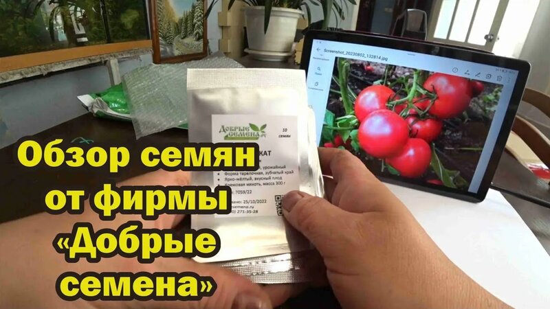 Профессиональные семена в розницу в интернет-магазине "Добрые семена"