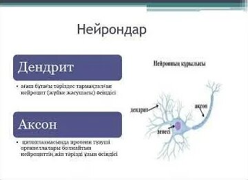 Порно комикстер секс Лара Крофт