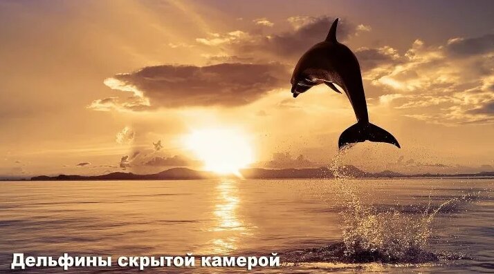 Байланған кеуде фотосы