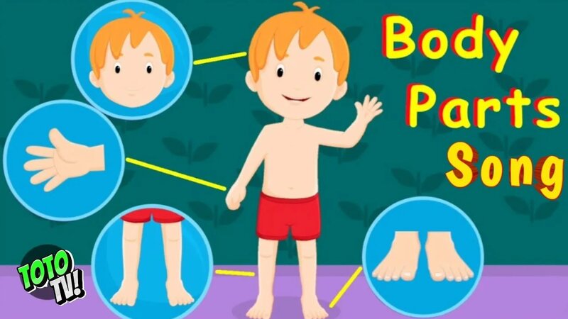 sing a song part of body