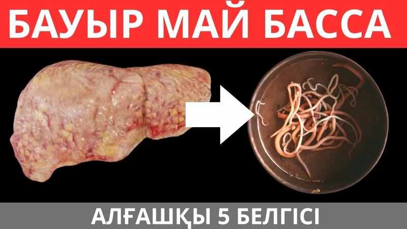 Бауырлар ххх