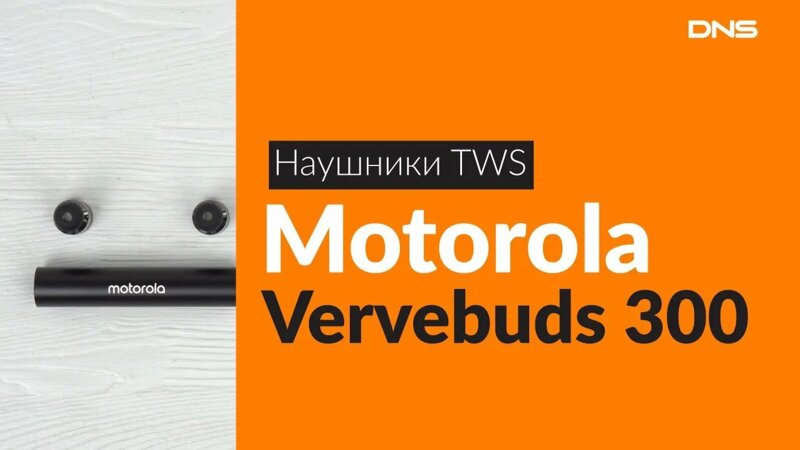 Motorola vervebuds 300 wireless earbuds hotsell