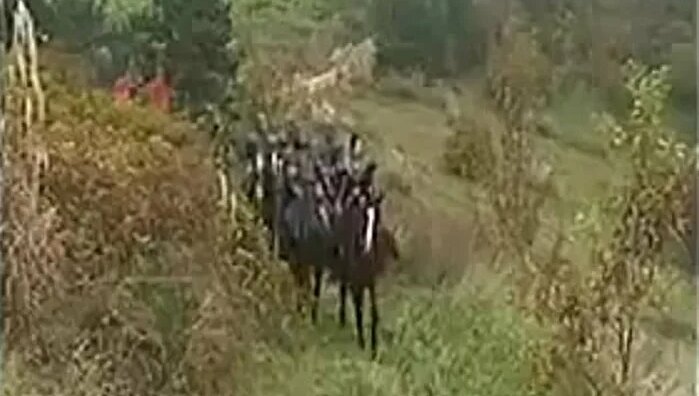 Дениз Ричардстың порнофотосуреттері