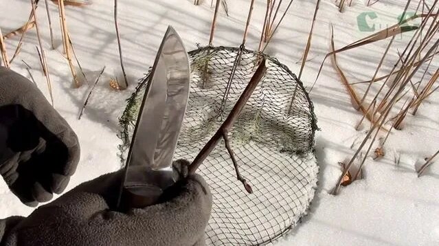 Ловушка для певчих птиц (Лучок) от СУАС - Смотреть онлайн в поиске ...