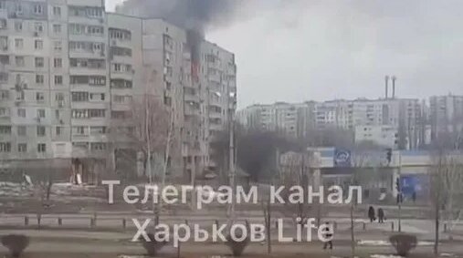 Тек порно сайт