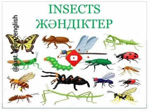 Лесби секс формалары