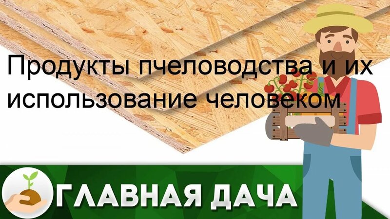 Продукты пчеловодства и их использование человеком