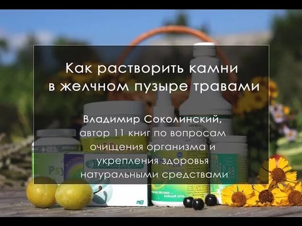 Камни в желчном пузыре и травы. Как растворить