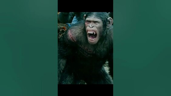 Anna Vlasova YT: 6 video Yandex