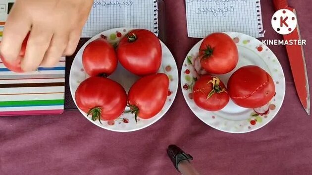 Сибирь. Обзор и дегустация томатов Белорусское сердце и Сахарная ...