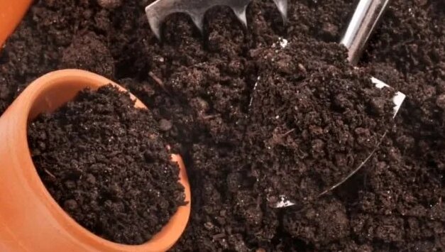 Какой Грунт для рассады выбрать, как купить хорошую землю для растений ...