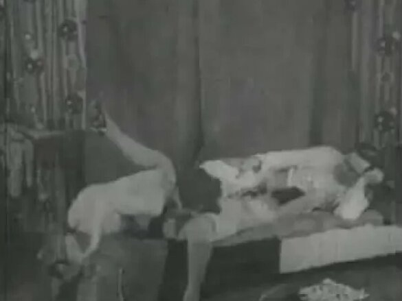 Kokraklari osilgan juda oriq ayollar pornosi