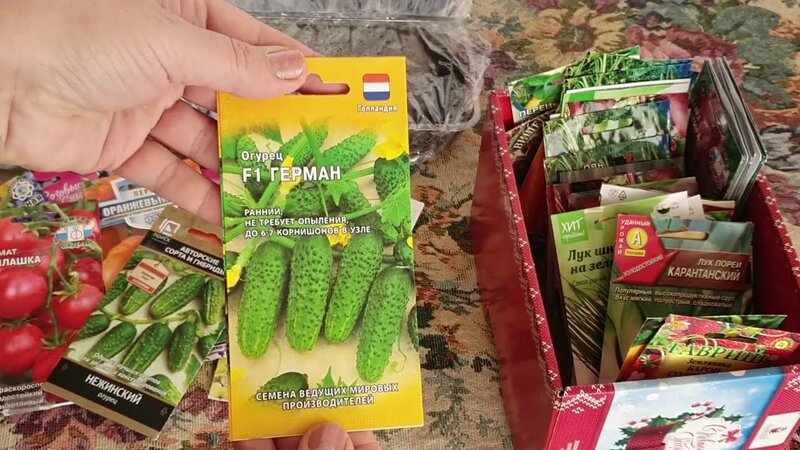 Секрет: как и где Купить семена овощей и цветов и не ошибиться