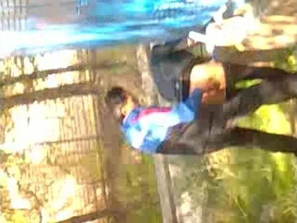 mushuk yopiq yoriq yalangoch