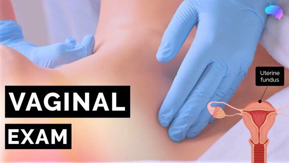 Vagina exam: 3 bin video Yandex