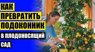 Карликовые плодовые деревья для подмосковья купить - Смотреть онлайн в ...