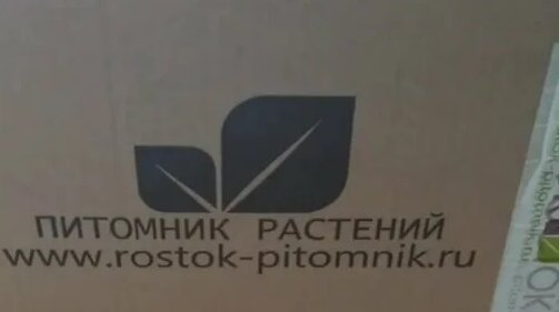 Отзыв на саженцы из питомника Росток - Смотреть онлайн в поиске Яндекса ...