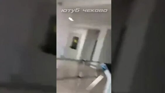 Яндекс