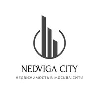 Nedviga City