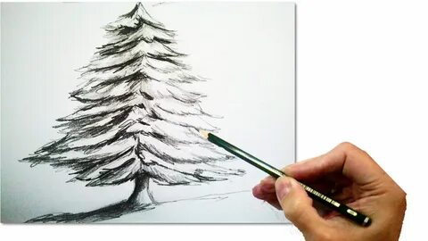 Christmas Tree Pencil Draw