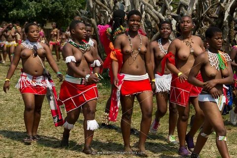 Photos and pictures of: Zulu maidens, Zulu Reed Dance at eNy
